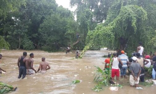 19 killed, houses submerged as flood ravages Kano community