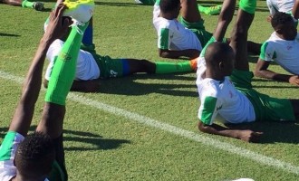 CHAN 2018: Yusuf picks Ezenwa, Odey, 18 others to tackle Squirrels