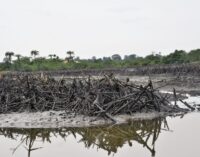 There’s no going back on Ogoni clean-up, says minister
