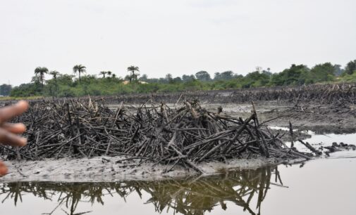 There’s no going back on Ogoni clean-up, says minister
