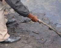 Ogoni clean-up: ‘Nothing concrete has been done’ — MOSOP gives FG December deadline