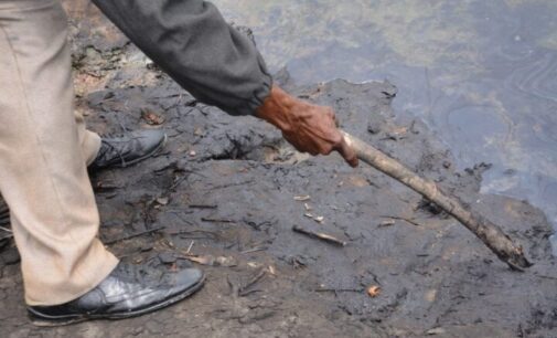 Ogoni clean-up: ‘Nothing concrete has been done’ — MOSOP gives FG December deadline