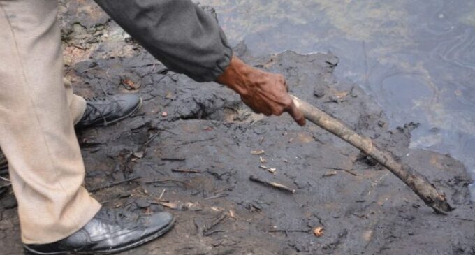 Shell agrees to pay Ogoni people N45bn compensation — 11 years after judgment