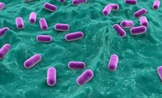 Two killed in fresh outbreak of diarrhoea in Lagos