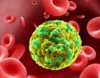 Scientists discover drug that could fight blood cancer without toxic side effects