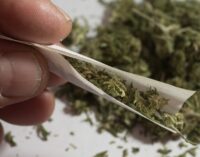 UN: We didn’t ask Nigeria to legalise cannabis