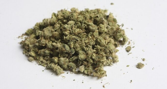UN asks Nigeria to relax ‘stringent laws’ against marijuana