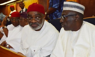 PDP: A lifeline from the supreme court