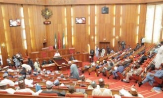 Donation of rice an insult, Kogi youth blast senate