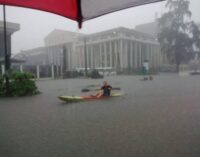 VIDEO: Foreigner paddles canoe on the flooded streets of VI
