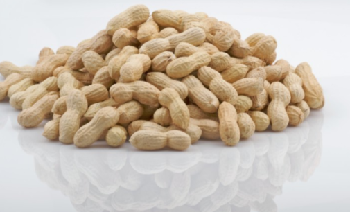 Eat Me: Fights stomach cancer, regulates blood sugar… Six reasons to love groundnut