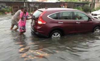 Osinbajo orders release of N1.6bn to 16 states ravaged by flood
