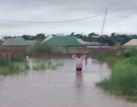 Buhari directs NEMA to provide relief for Benue flood victims