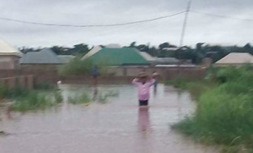 Buhari directs NEMA to provide relief for Benue flood victims
