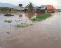 NEMA declares flooding as national disaster in five more states