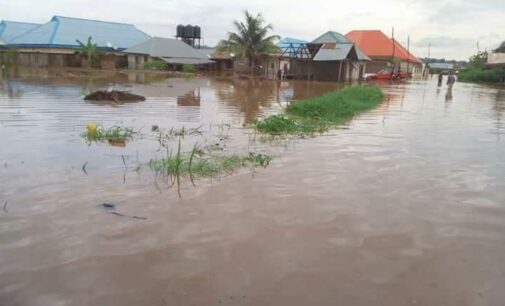 Garba Shehu: Buhari administration will not abandon flood victims