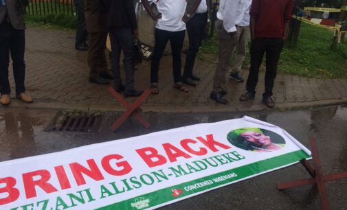 Charly Boy leads ‘Bring Back Diezani’ protest to EFCC
