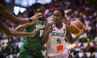 Senegal vs Nigeria: Highlights from FIBA Afrobasket final