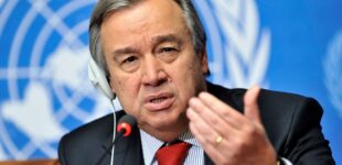Earth Day: Guterres demands climate action to mitigate biodiversity loss
