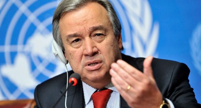 Earth Day: Guterres demands climate action to mitigate biodiversity loss