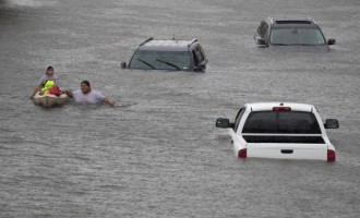 ‘No Nigerian died in Hurricane Harvey’