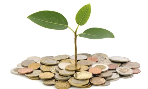Nigeria to raise N150bn from green bonds in 2018