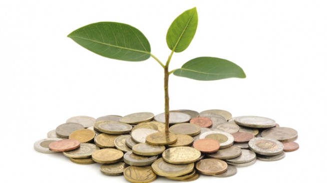 Nigeria to raise N150bn from green bonds in 2018