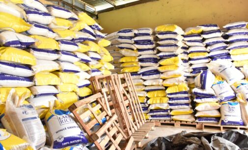 Fact checking Audu’s claim and proffering solutions to rice importation