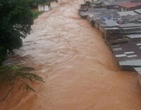 Mudslide buries over 300 in Sierra Leone (updated)