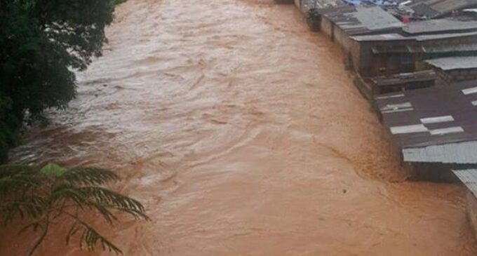 Mudslide buries over 300 in Sierra Leone (updated)