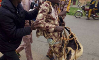 Man gets six-month jail term for stealing Sallah ram