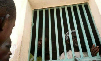 Borno NUT demands immediate release of detained IDPs