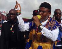 Produce Kanu before things get out of hand, IPOB warns FG, Igbo leaders