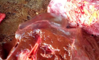Kwara poisoned beef: FG warns Nigerians against meat from dead animals