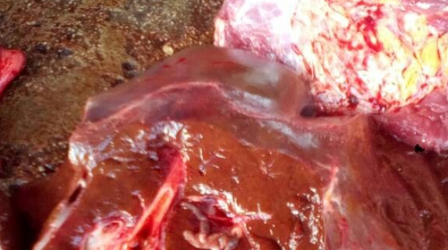 Meat of sick, dead animals sold in Nasarawa, says commissioner