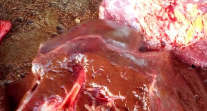 Meat of sick, dead animals sold in Nasarawa, says commissioner