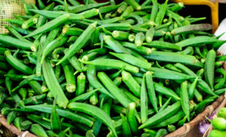 Eat Me: Relieves constipation, lowers blood pressure… Seven benefits of okra