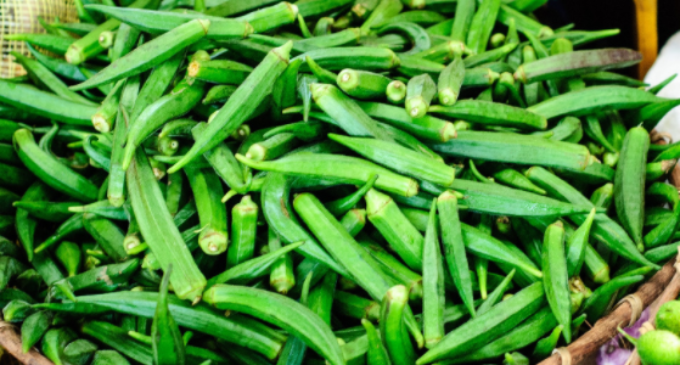 ‘Oyo, Ondo, Niger’ — scientists discover virus attacking okra plants