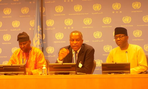 Nigeria says UN security council is undemocratic