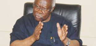 Bode George: Invasion of Oyo secretariat by agitators shows lack of intelligence gathering