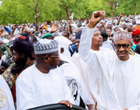 North-east has always been Buhari’s priority, says presidency
