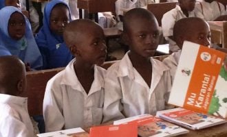 Number of out-of-school children in Sokoto ‘drops by half’