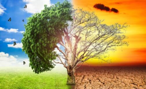 Climate Watch: NiMet warns of temperature rise in harmattan season