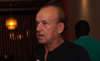 Rohr: Why I keep inviting Musa despite not playing in Leicester’s first team