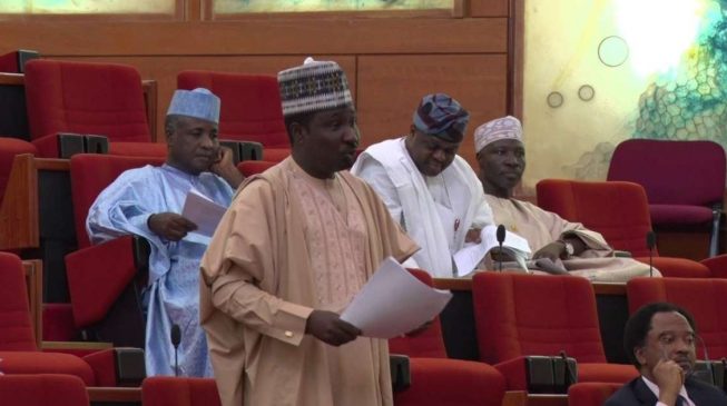 Poverty is weapon of mass destruction, says Kano senator