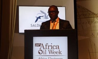 Dangote’s refinery should meet local needs, says Kachikwu