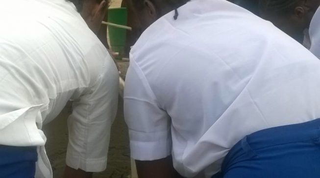 All those implicated should be prosecuted – old students react to pimping at FGGC Langtang