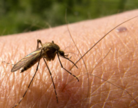 NiMet: Weather conditions in March, April could lead to high prevalence of malaria