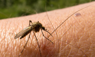 Commissioner: How Anambra achieved second lowest ranking in malaria prevalence