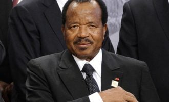 Ambazonia, Biya’s intolerance and internet democracy